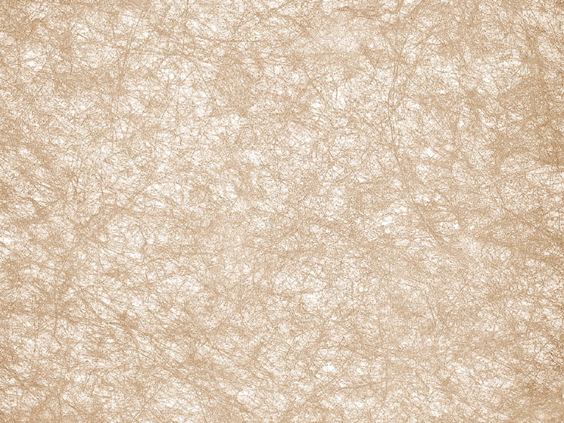 فیلم نرم سقفی چاپ شده با هنر فیلم نرم سقفی چاپ شده با هنر